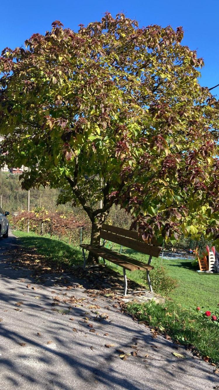 Cascina Uertigher Gorno ภายนอก รูปภาพ
