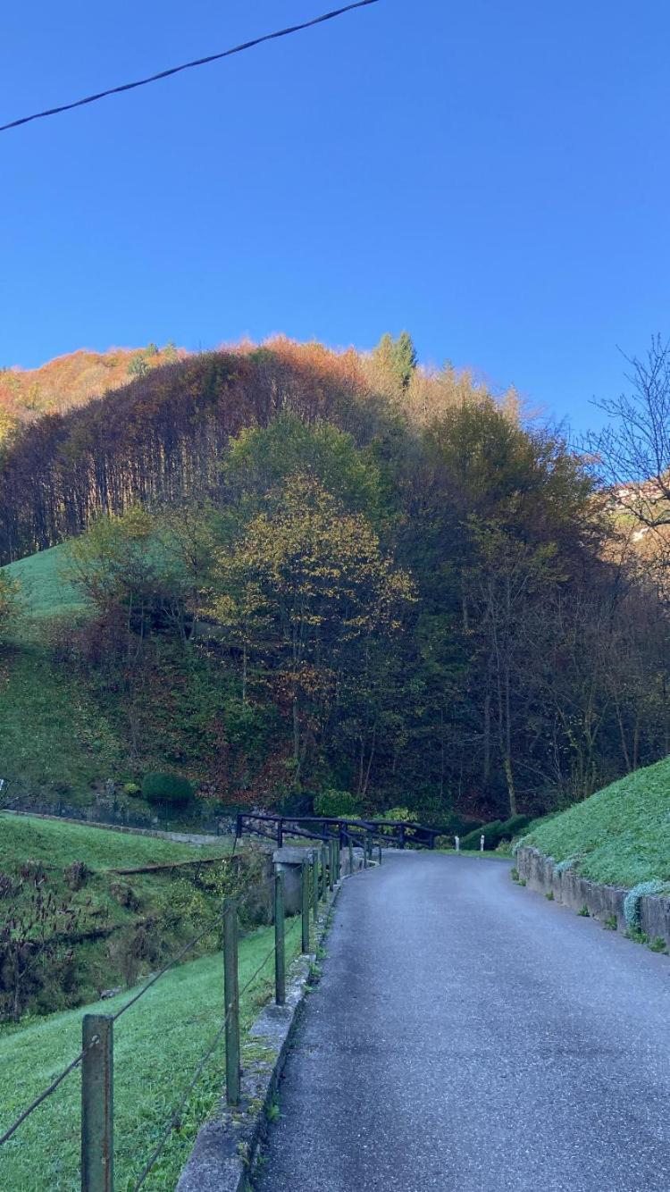 Cascina Uertigher Gorno ภายนอก รูปภาพ